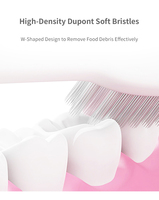 Brosse à dents sonique électrique à piles pour routine quotidienne, étanche IPX7, partenaire fiable pour une utilisation régulière