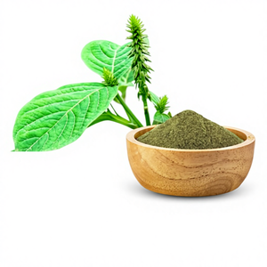 ผงสมุนไพรอาปาเมอร์กา (อะชีรันเทส แอสเพอร์รา) เกรดอาหารเพื่อสุขภาพ จีเค โบทานิคอลส์ - Product Image 1