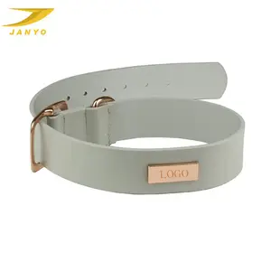 Dog Collar Charm Wholesale Design Your Own Logo Luxury Leather Dog Collar With Gold Buckle