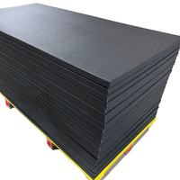 Tapis de judo en vinyle antidérapant, souple, imperméable, compressible, léger, 4 cm de hauteur, haute résilience, tapis de sport professionnels