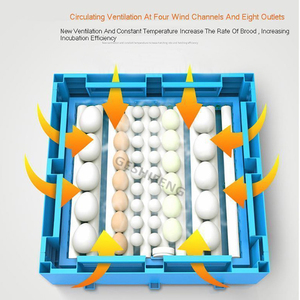 Couveurs de eu ec Tilapia innovbadora Mid To Lagerest, hather, bon prix, 20 pièces - Product Image 6