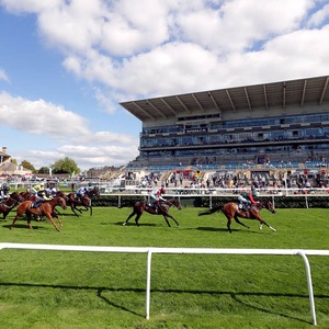 Clôture en PVC authentique Steeplechase complète avec remplisseurs de <span class=keywords><strong>brosse</strong></span> réalistes pour la pratique du saut de cross-country - Product Image 5