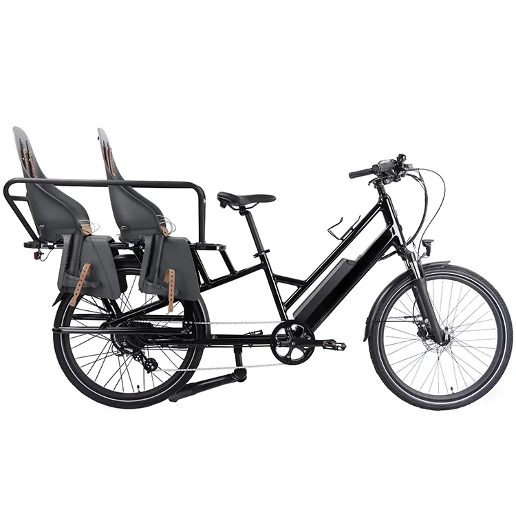 2023 Motorlife 20 polegada ebike alumínio liga quadro carga bicicleta com cinto de segurança