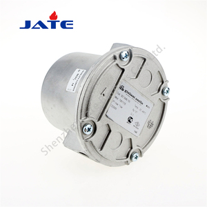 Le filtre à gaz naturel/GPL Giuliani 70631/6B (2") d'Italie convient aux équipements d'énergie thermique tels que les fours et les incinérateurs - Product Image 2