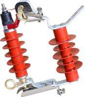 Parafoudre extérieur 10 kV haute tension à oxyde de zinc pour la protection contre les surtensions de foudre, composant pour la distribution des sous-stations électriques