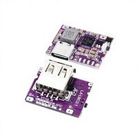 Mini Placa Base para Banco de Energía Tipo-C, Módulo Todo en Uno de Carga/Descarga de 3A, Voltaje Universal, Puede Cargar Teléfonos