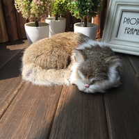 Prix d'usine 21cm chat simulé chat endormi sûr et mignon pour une large application d'expérience douce et non toxique