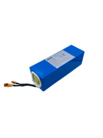 Batterie universelle d'alimentation d'urgence BMS pour scooter électrique, aspirateur, batterie 36V 15Ah, batterie lithium-ion rechargeable
