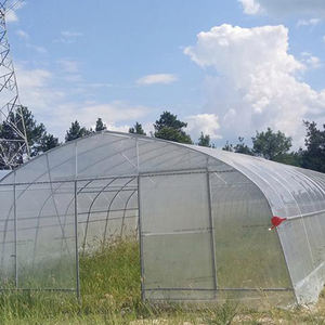 Túnel <span class=keywords><strong>de</strong></span> polietileno agrícola comercial <span class=keywords><strong>de</strong></span> alta resistencia, invernadero <span class=keywords><strong>de</strong></span> un solo tramo, <span class=keywords><strong>planta</strong></span> <span class=keywords><strong>de</strong></span> hongos <span class=keywords><strong>de</strong></span> película <span class=keywords><strong>de</strong></span> PE moderna <span class=keywords><strong>de</strong></span> bajo costo - Product Image 5