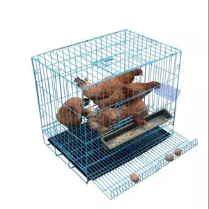 Складная Клетка для курицы с ПВХ покрытием для продажи