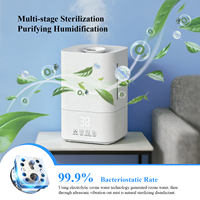 Humidificateur d'air à ozone pour la maison, grand salon, avec fonction de purification à l'ozone 2 en 1