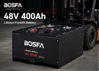Baterai Forklift LiFePO4 48V 51.2V 400Ah Isi Ulang untuk Truk Forklift Listrik