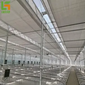 high quality single span double layers tunnel plastic film inflatable agricultural cheap tunnel greenhouses factory