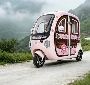 Scooter a Tre Ruote per Passeggeri con Batteria al Litio 800W 60V, Triciclo Elettrico per Adulti e Anziani - Product Image 5