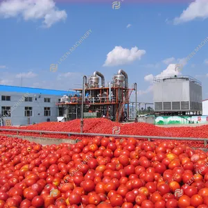 Mesin pengolahan konsentrat tomat 10-200Ton jalur produksi pasta tomat