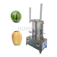 Machine automatique à éplucher les citrouilles / Éplucheur de pastèque / Machine à éplucher les papayes