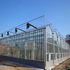 Serre agricole en verre Venlo à vendre Maison verte à travées multiples pour tomates