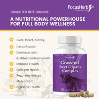 Cápsulas de Órganos de Res Natural para Adultos FocusHerb, Hígado, Corazón y Riñón de Res Alimentada con Pasto