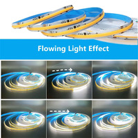 Bande lumineuse LED Chase Strobe Smart Flowing 12V DC 8mm 120LEDs 3000K blanc chaud électroplaté SMD2835 avec télécommande