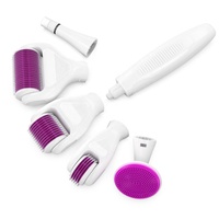 Kit de rouleau de derma glacé 6 en 1/6 en 1/6in 1/6 in 1 avec fonction de massage électrique