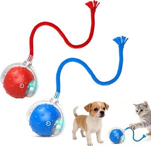Hot Sale New Bird Sound Motion-Activated Rechargeable Silicone <b>ABS</b> Smart Self-Rolling Interactive Automatic Moving Cat Toy Ball - Product Image 1