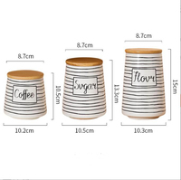 Vente en gros de pots de stockage en céramique blanche personnalisés en forme de cône pour boîte à café, sucre, thé, couvercles de pots à biscuits pour rangements à domicile