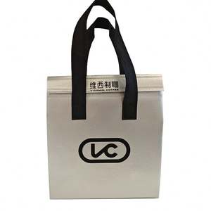 Bolsa Térmica Reutilizable de Alta Calidad, Plateada, No Tejida, para Entrega de Alimentos y Bebidas, Bolsa de Almuerzo Aislada con Logotipo Personalizado - Product Image 2