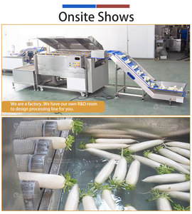 Large Root Vegetable Yam Turnip Beetroot Brush Washing <b>Machine</b> With Soaking Pool And Multi <b>Row</b> Spray Nozzles For Vegetable Plant - Product Image 4