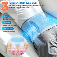 Ceinture chauffante lombaire portable Tech Love avec massage par vibration intégré et batterie 8000 mAh