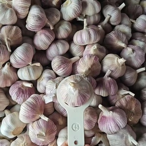 Ajo recién cosechado de Shandong, exportador confiable, fábricas con tamaños que van de 4.5-7 cm, con varias opciones disponibles. - Product Image 1