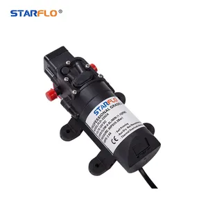STARFLO 80PSI 4LPM 12V DC Battery Powered High Pressure Fine Mist Water Agricultural Spray Pump Sprayer