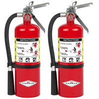Vanne d'extincteur automatique 6 kg
