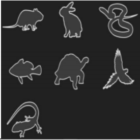 Equipos médicos de rayos <span class=keywords><strong>X</strong></span> asequible rayos <span class=keywords><strong>X</strong></span> <span class=keywords><strong>digital</strong></span> de rayos <span class=keywords><strong>X</strong></span> veterinario Pet DR Kanistar sistemas de radiografía veterinaria de rayos <span class=keywords><strong>X</strong></span> de animales - Product Image 5