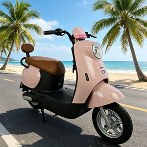 Scooter Eléctrico CKD/SKD de 1500W, Precio Económico, Batería de Litio Extraíble para África y Latinoamérica - Product Image 6