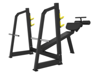 Banc de musculation commercial robuste avec rangement pour plaques de poids, idéal pour l'entraînement de force pectorale