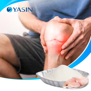 Colágeno Marino en Polvo de Alta Calidad, Colágeno Marino Tipo 1 al por Mayor para el Dolor Articular y Menstrual - Product Image 1