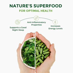Capsules de feuilles de Moringa bio Natualrise certifiées GMP, complément antioxydant naturel pour adultes, soutien immunitaire et intestinal, OEM/ODM - Product Image 3