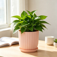 Pot Bunga Hias Taman untuk Dekorasi Dalam & Luar Ruangan Desain Terbaru Pot & Planter Bunga untuk Dijual