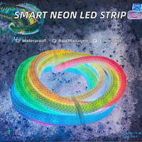 Lampu LED Strip Silikon Fleksibel RGB Pintar WS2812B WS2811 5V Tahan Air IP65 USB 360 Derajat Reticulate