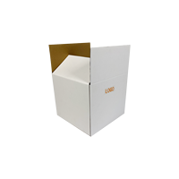 Boîtes d'expédition en carton ondulé plat Conception d'avion Recyclable Jetable Pliant Carton Éponge Doublure en relief Écologique