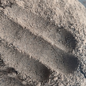 Poudre de peptides de <span class=keywords><strong>mouche</strong></span> soldat noire hydrolysée enzymatiquement Bioforte, riche en protéines, 25 kg/sac, additif alimentaire pour bovins, porcelets, chevaux, agneaux - Product Image 3