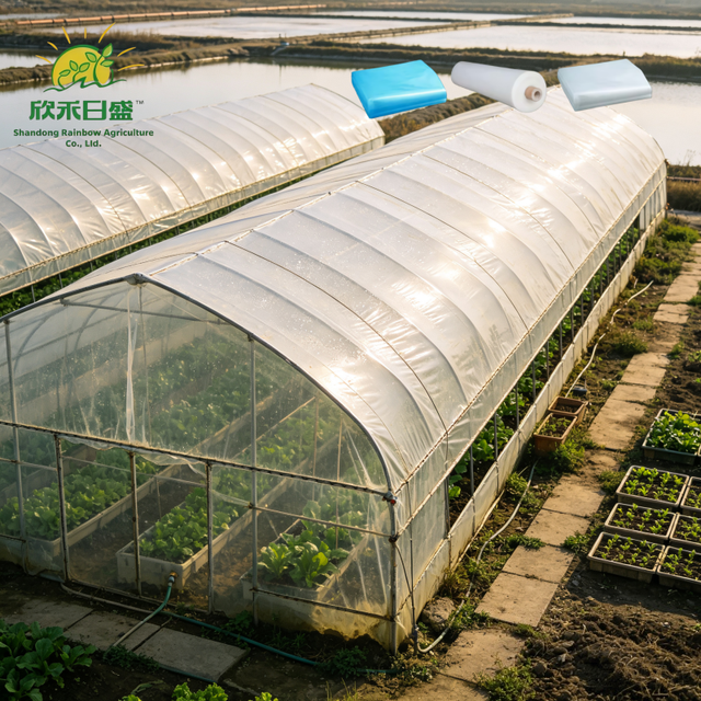 EVA Raw Greenhouse Plastic Film, Heat Retention Agricultural Film for Cold-region Vegetable Planting Sheds