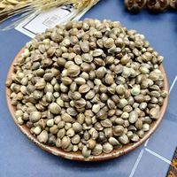 Graines de chanvre biologiques fraîches et naturelles, non modifiées génétiquement, en gros, herbes et épices uniques pour usage alimentaire