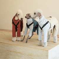 Combinaison pour animaux de compagnie, manteau imperméable, petite et moyenne taille, pour Whippet, Bedlington Terrier, vêtements d'hiver chauds, rembourrés en coton, salopette pour chien