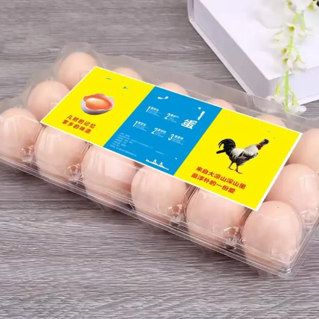 Walson conservazione della freschezza cartone trasparente per uova prezzo di fabbrica 12 fori vassoio di plastica per imballaggio di uova in plastica PET