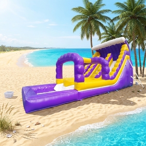 Toboggan gonflable de qualité commerciale en PVC pour adultes, château gonflable d'extérieur avec <span class=keywords><strong>piscine</strong></span> - Product Image 1