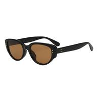 Lunettes de soleil œil de chat pour femmes, tendance, pas chères, vente en gros, classiques, populaires, en plastique