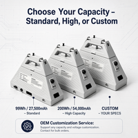 Paquete de Baterías Starlink Mini de Capacidad Personalizada, Cualquier Conector, Banco de Energía Portátil, Solución de Energía para Exteriores, OEM
