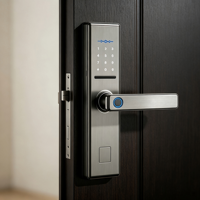 Fabrikpreis Tuya WIFI Smart Türschloss-System Elektronisches Smart-Türschloss mit App-Fernbedienung, Passwort, Karte und Schlüssel für Zuhause