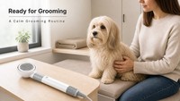 Sèche-cheveux ABS pour animaux de compagnie, outil de toilettage pour chiens et chats, peigne à air chaud